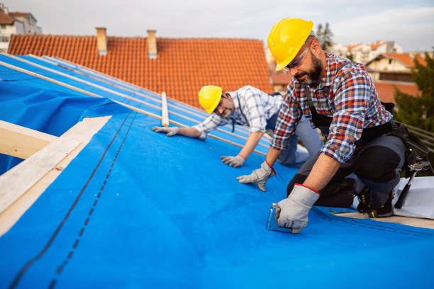 Best Roof Coating and Sealing  in Crainvle, IL